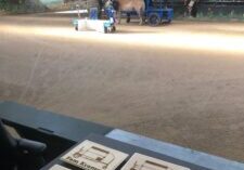 club van 100 IMG-20251009-WA0003